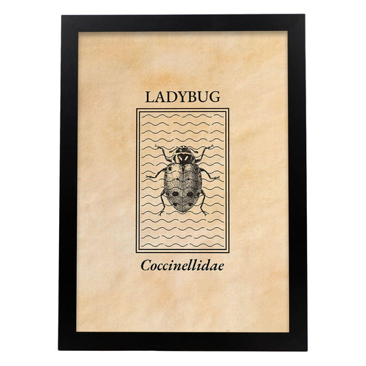 Lámina Vintage Mariquita. Pósters de insectos en estilo grabado y tonos sepia.-Artwork-Nacnic-A4-Marco Negro-Nacnic Estudio SL