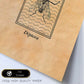 Lámina Vintage Mosca. Pósters de insectos en estilo grabado y tonos sepia.-Artwork-Nacnic-Nacnic Estudio SL