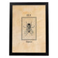 Lámina Vintage Mosca. Pósters de insectos en estilo grabado y tonos sepia.-Artwork-Nacnic-A4-Marco Negro-Nacnic Estudio SL