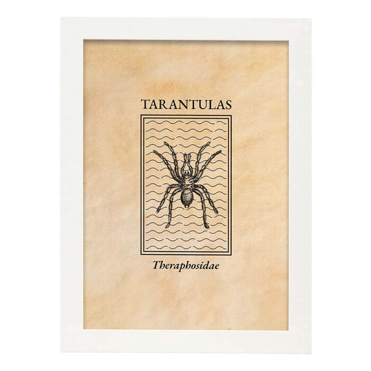Lámina Vintage Tarantula. Pósters de insectos en estilo grabado y tonos sepia.-Artwork-Nacnic-A4-Marco Blanco-Nacnic Estudio SL