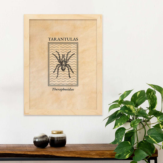 Lámina Vintage Tarantula. Pósters de insectos en estilo grabado y tonos sepia.-Artwork-Nacnic-Nacnic Estudio SL