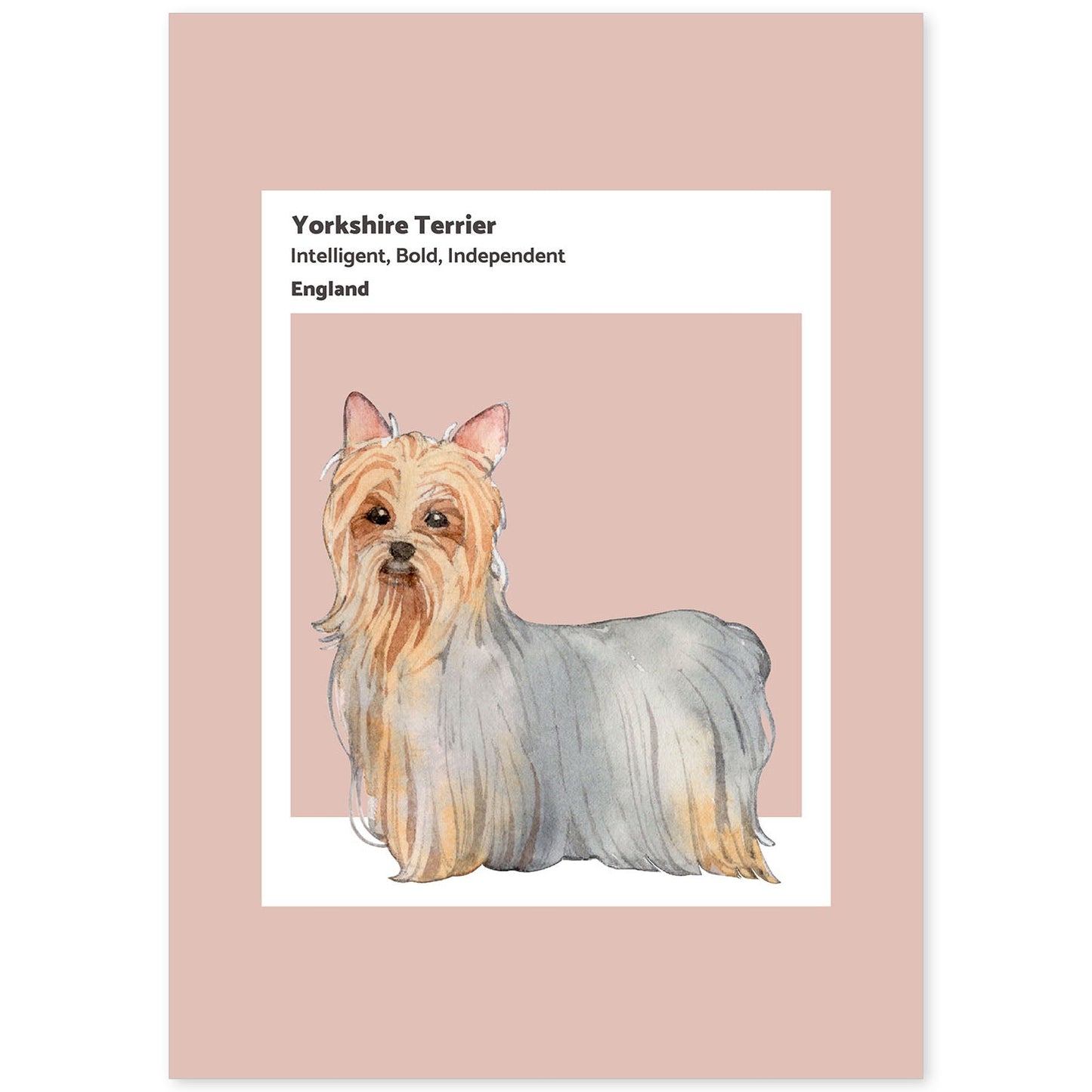 Lámina Yorkshire-terrier. Pósters con ilustraciones de razas de perro en tonos cálidos y pastel.-Artwork-Nacnic-A4-Sin marco-Nacnic Estudio SL