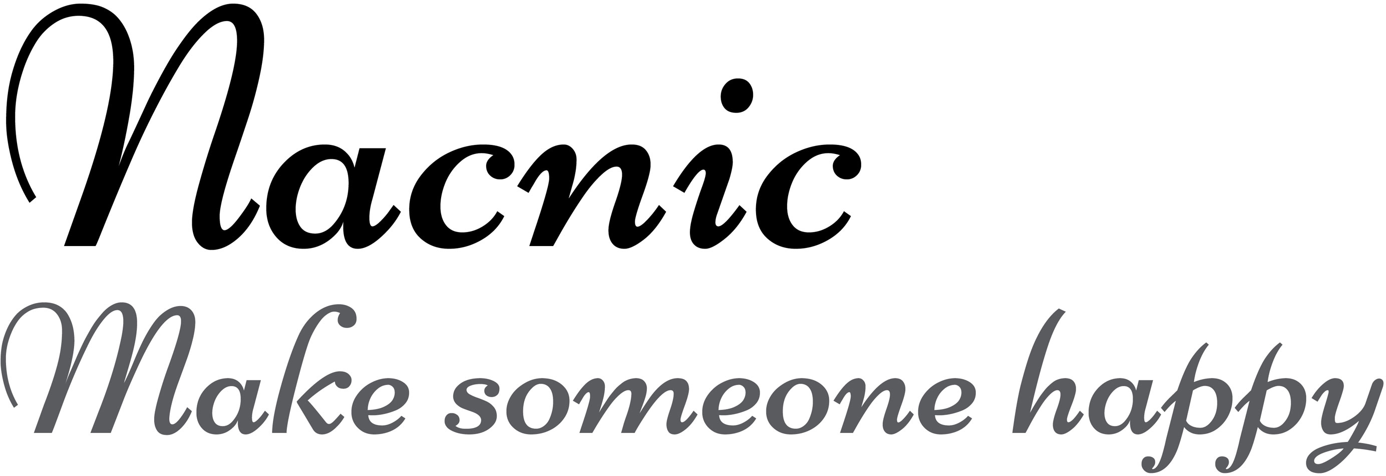 Nacnic Estudio SL logo