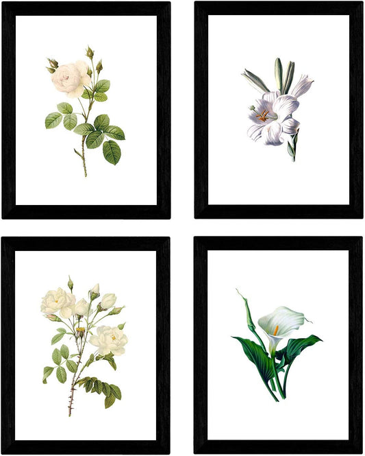 Lot de 4 feuilles à encadrer style botanique - Set Soft White au format A4 imprimé sur papier 250 g et encres fond papier Sepia.-Artwork-Nacnic-Nacnic Estudio SL