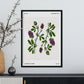 Lucerne Flower-Artwork-Nacnic-Nacnic Estudio SL