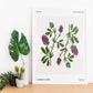 Lucerne Flower-Artwork-Nacnic-Nacnic Estudio SL