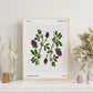 Lucerne Flower-Artwork-Nacnic-Nacnic Estudio SL