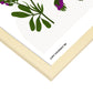 Lucerne Flower-Artwork-Nacnic-Nacnic Estudio SL