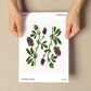 Lucerne Flower-Artwork-Nacnic-Nacnic Estudio SL