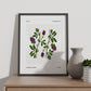 Lucerne Flower-Artwork-Nacnic-Nacnic Estudio SL