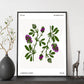 Lucerne Flower-Artwork-Nacnic-Nacnic Estudio SL