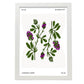 Lucerne Flower-Artwork-Nacnic-A3-Marco Blanco-Nacnic Estudio SL