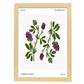 Lucerne Flower-Artwork-Nacnic-A3-Marco Madera clara-Nacnic Estudio SL