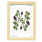 Lucerne Flower-Artwork-Nacnic-A4-Marco Madera clara-Nacnic Estudio SL