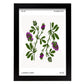 Lucerne Flower-Artwork-Nacnic-A4-Sin marco-Nacnic Estudio SL