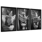 Set de 3 Cuadros Animales Leyendo Periódico En El Inodoro, Gato, Perro, Llama, Póster en Blanco y Negro con Ilustración Impresa en Estilo B/N para Decorar las Paredes del Inodoro, Baño, Lavabo, WC