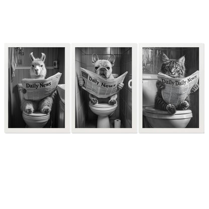 Set de 3 Cuadros Animales Leyendo Periódico En El Inodoro, Gato, Perro, Llama, Póster en Blanco y Negro con Ilustración Impresa en Estilo B/N para Decorar las Paredes del Inodoro, Baño, Lavabo, WC