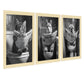 Set de 3 Cuadros Animales Leyendo Periódico En El Inodoro, Gato, Perro, Llama, Póster en Blanco y Negro con Ilustración Impresa en Estilo B/N para Decorar las Paredes del Inodoro, Baño, Lavabo, WC