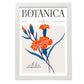 Marigold-Artwork-Nacnic-A3-Marco Blanco-Nacnic Estudio SL