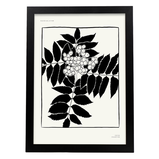 Mistletoe-Artwork-Nacnic-A3-Sin marco-Nacnic Estudio SL