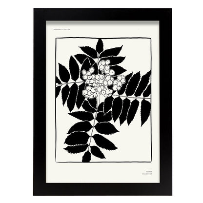 Mistletoe-Artwork-Nacnic-A4-Sin marco-Nacnic Estudio SL