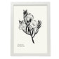 Morning Glory-Artwork-Nacnic-A3-Marco Blanco-Nacnic Estudio SL