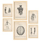 Set de 6 pósters vintage anatómicos con ilustraciones del cerebro, esqueleto, músculos y extremidades humanas – estilo médico clásico para consulta, estudio o despacho – blanco y negro, ciencia, cuerpo humano