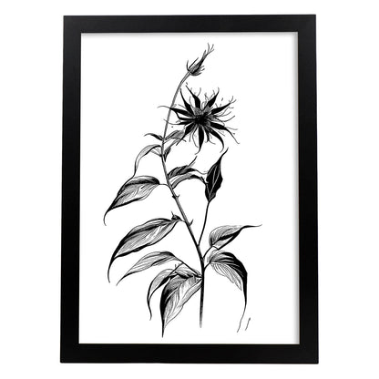 Nacnic Láminas de Arte Minimalista de Borraja