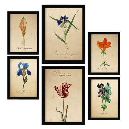 Set de 6 láminas botánicas estilo vintage con flores ilustradas en tonos azules, rojos y naranjas sobre fondo envejecido para salón, dormitorio o pasillo, 2 grandes y 4 medianos