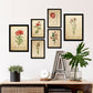 Set de 6 láminas botánicas vintage con ilustraciones de flores rojas en papel envejecido para decorar salón, pasillo o dormitorio clásico – 2 grandes y 4 medianos