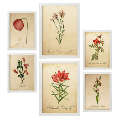 Set de 6 láminas botánicas vintage con ilustraciones de flores rojas en papel envejecido para decorar salón, pasillo o dormitorio clásico – 2 grandes y 4 medianos