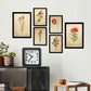 Set de 6 láminas botánicas vintage con ilustraciones de flores rojas en papel envejecido para decorar salón, pasillo o dormitorio clásico – 2 grandes y 4 medianos
