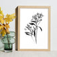 Nacnic Laminas de Arte Minimalista Bouvardia