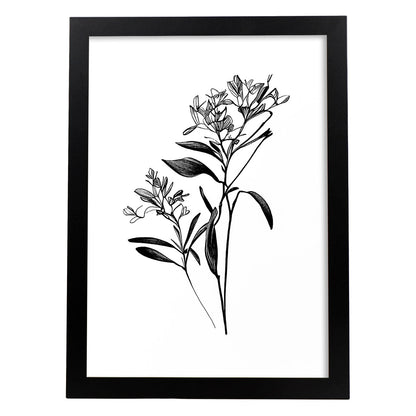 Nacnic Laminas de Arte Minimalista Bouvardia