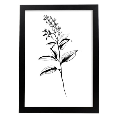 Lámina Nacnic Bouvardia Arte Minimalista Lineal_2