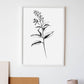 Lámina Nacnic Bouvardia Arte Minimalista Lineal_2