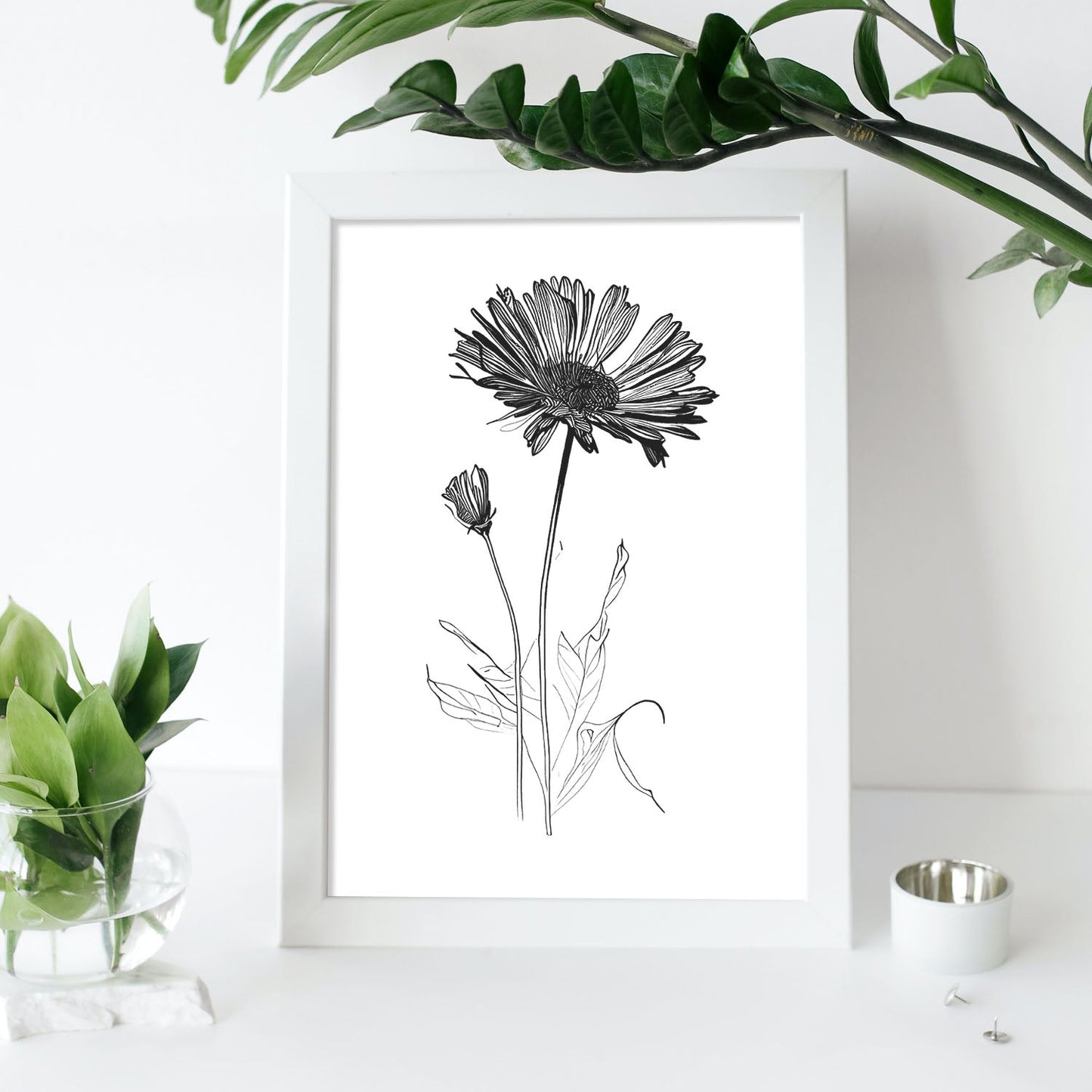 Nacnic Laminas de Calendula Minimalista en Linea Artística Aestética