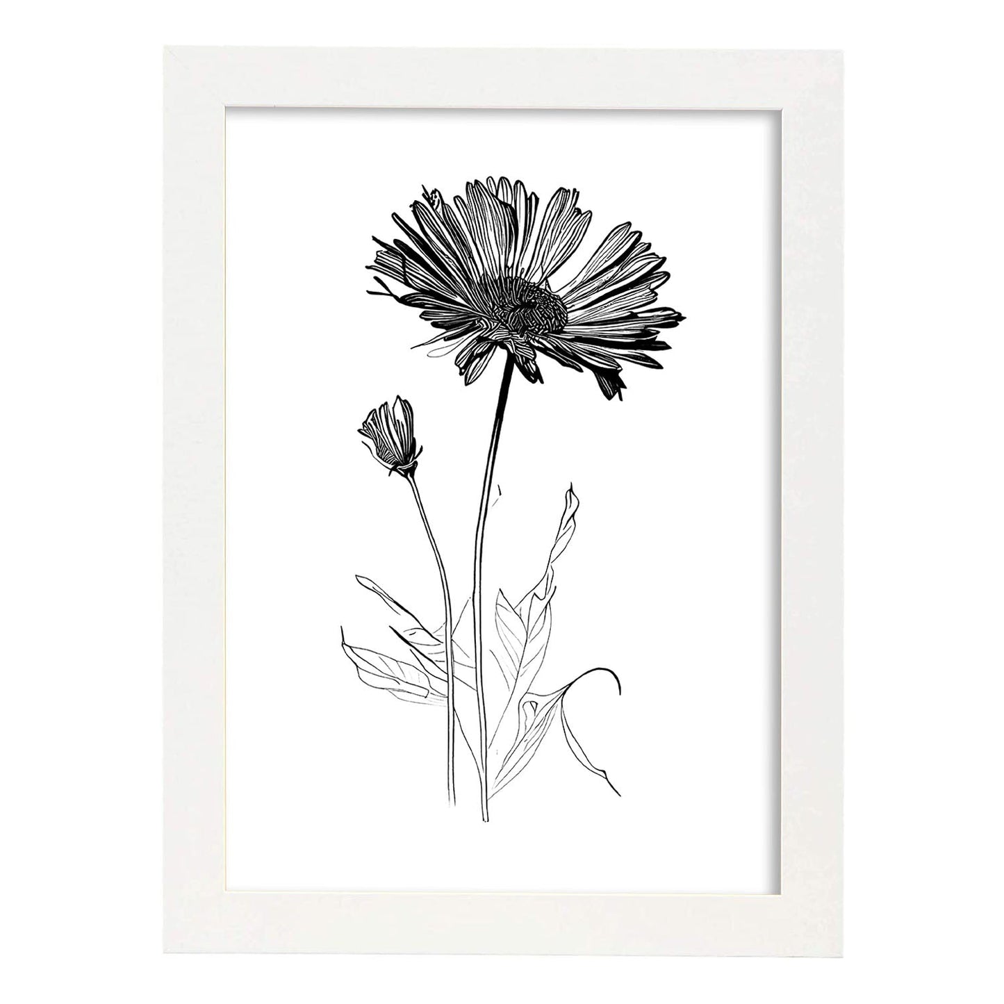 Nacnic Laminas de Calendula Minimalista en Linea Artística Aestética
