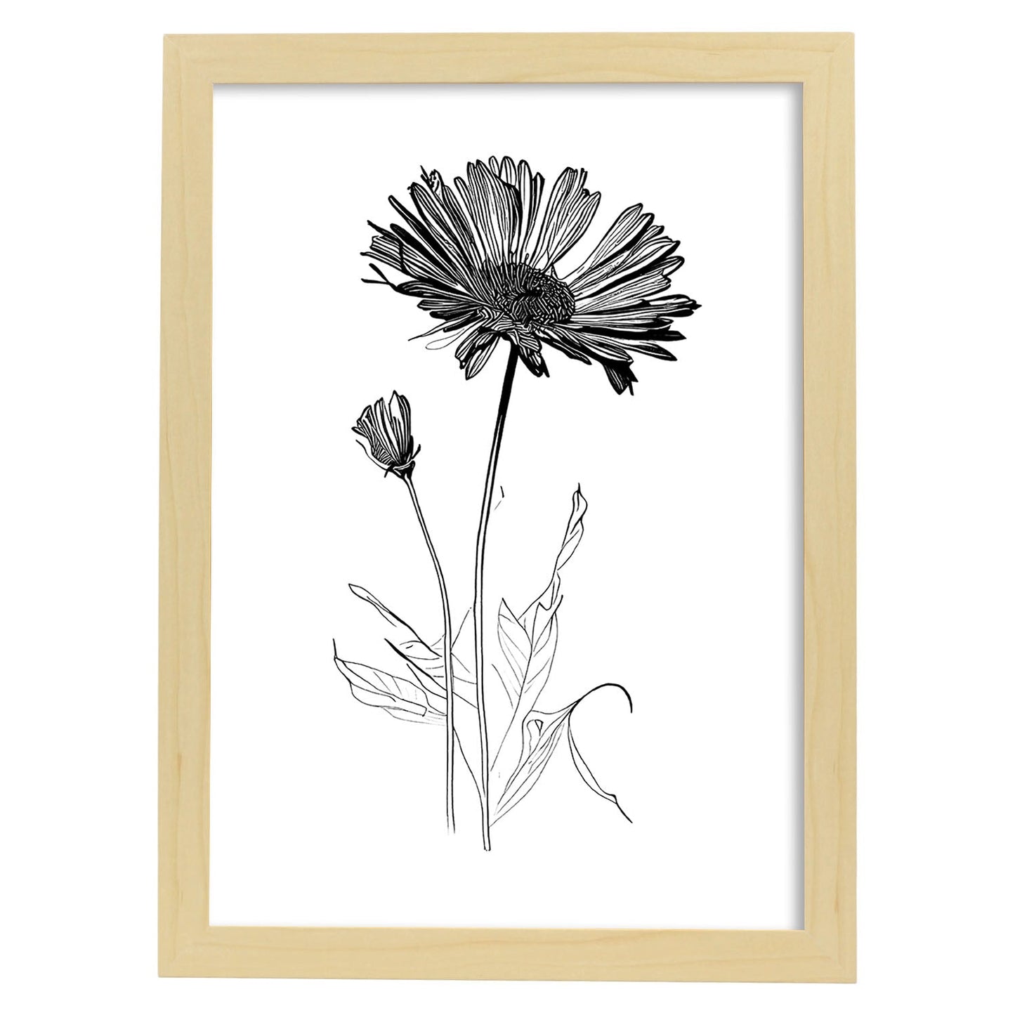 Nacnic Laminas de Calendula Minimalista en Linea Artística Aestética