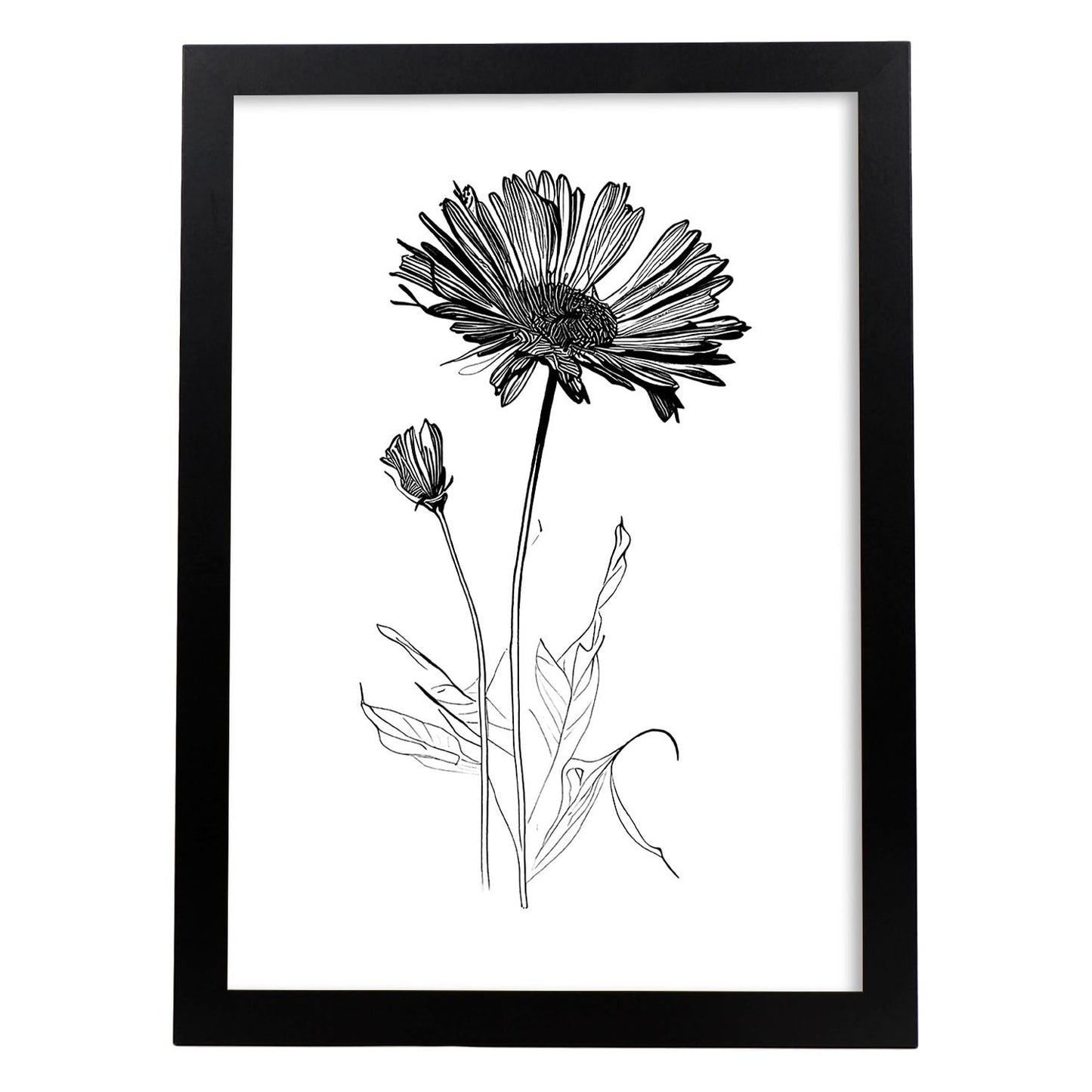 Nacnic Laminas de Calendula Minimalista en Linea Artística Aestética