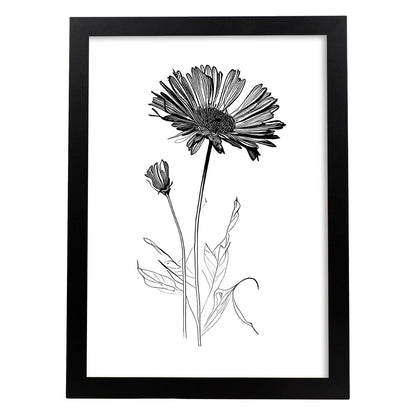 Nacnic Laminas de Calendula Minimalista en Linea Artística Aestética