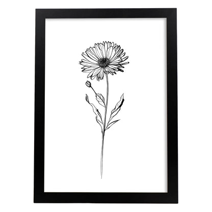Lámina Nacnic Calendula Arte Minimalista Lineal_2