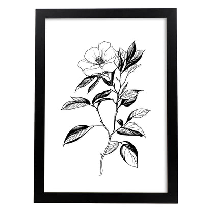 Lámina Nacnic Camelia Arte Minimalista Líneas