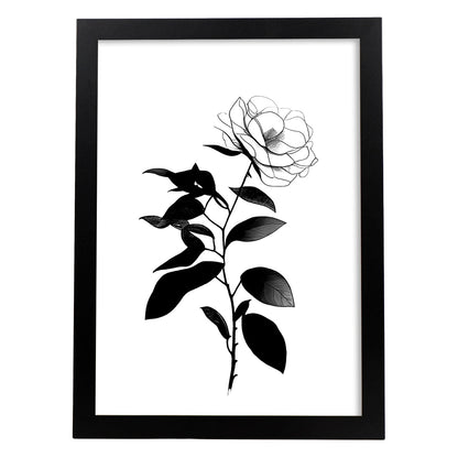 Nacnic Laminas Minimalistas de Camelia en Linea