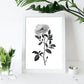 Nacnic Láminas de Arte Minimalista Camellia en Línea