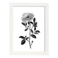 Nacnic Láminas de Arte Minimalista Camellia en Línea