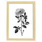 Nacnic Láminas de Arte Minimalista Camellia en Línea