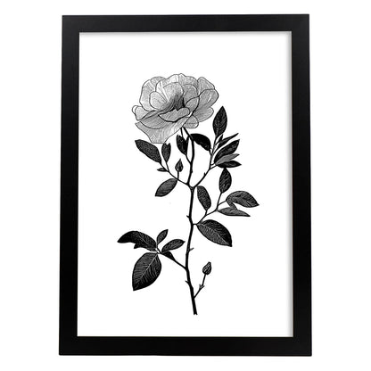 Nacnic Láminas de Arte Minimalista Camellia en Línea