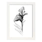 Nacnic Lámina de Arte Minimalista Canna_2