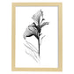 Nacnic Lámina de Arte Minimalista Canna_2